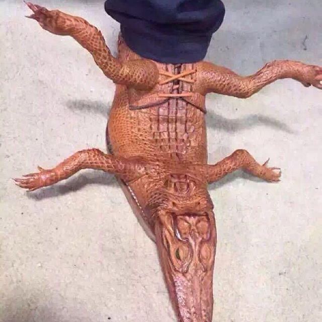 Alligator Footwear1