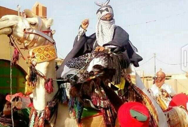 Emir Sanusi Camel