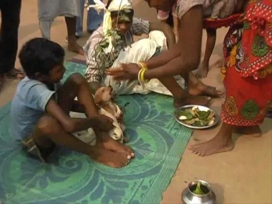 JHARKHAND, INDIA - JANUARY 19, 2016: Seven-year-old Mukesh was married off to a bitch to ward off evil spirits in Manik Bazar area of Jharkhand.Pictures Supplied By: Cover Asia Press