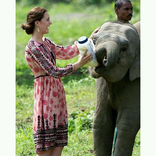 Kate feeding animals1