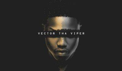 Vector