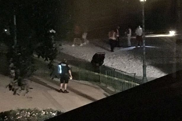 Alligator-attack-Florida