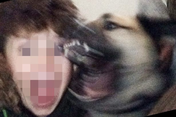 Dog selfie bite igby