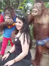 pervy orangutan2