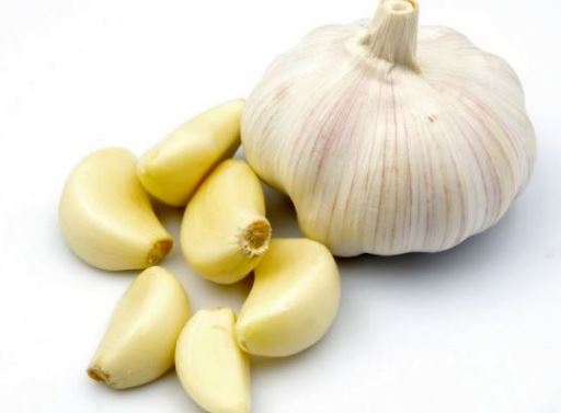 garlic