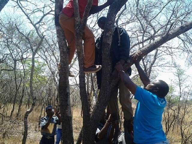 dying-for-love-zimbabwe