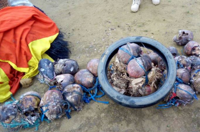 human-skulls-in-bayelsa3