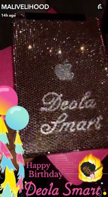 live3lihood-and-deola-smart3