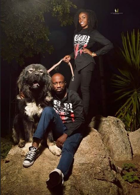 pre-wedding-shoot-with-dogs3