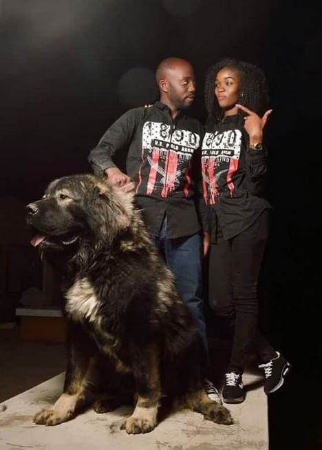 pre-wedding-shoot-with-dogs4