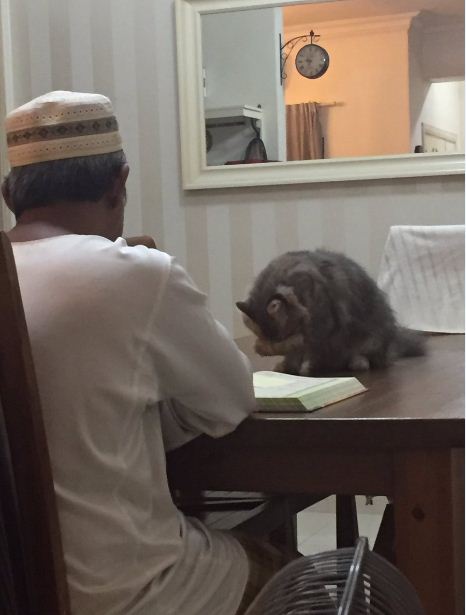 religious-cat2