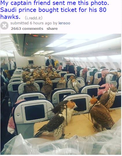 Hawks plane tickets