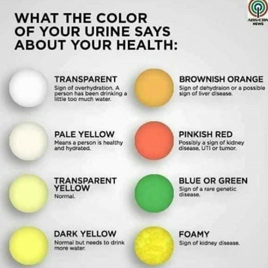 urine colour