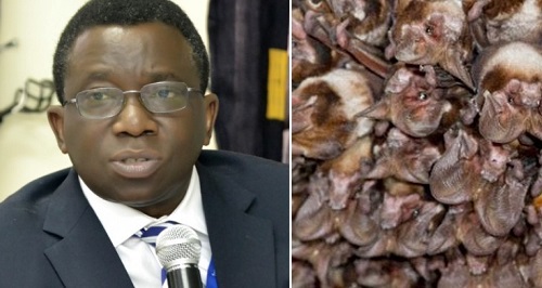 Deadly Ebola Virus Resurfaces