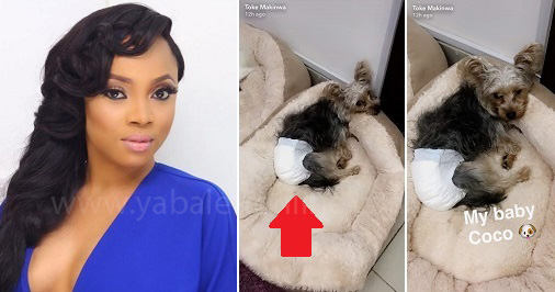 Nigerians drag Toke Makinwa