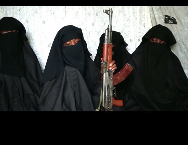 Abducted Chibok Girls Said