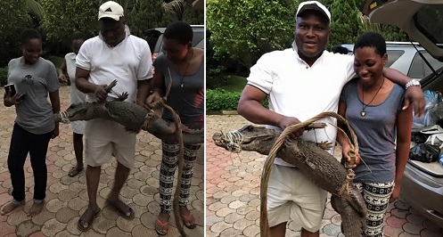 Nigerian man buys crocodile