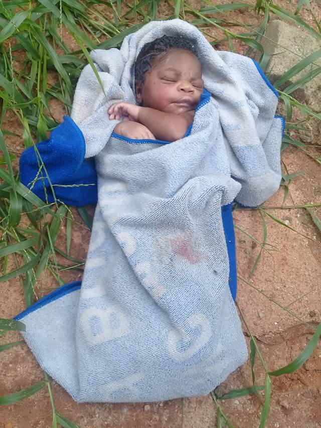 Newborn Baby Found Abandoned
