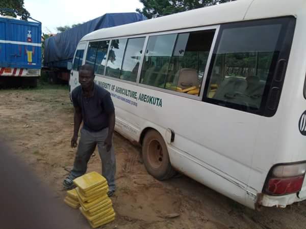 nigeria customs intercepts funnab bus carrying indian hemp