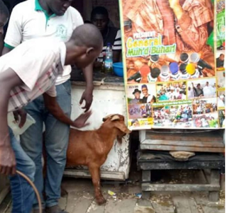 suya seller shares free goat meat