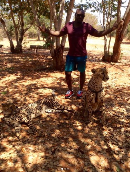 jim iyke petting lions