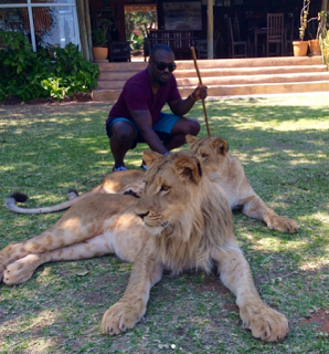 jim iyke petting lions