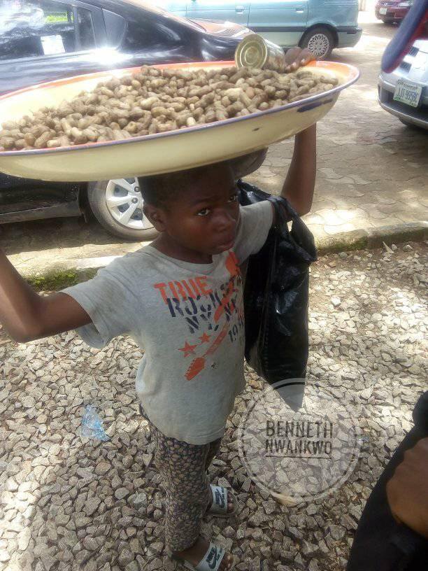 9 year old groundnut hawker