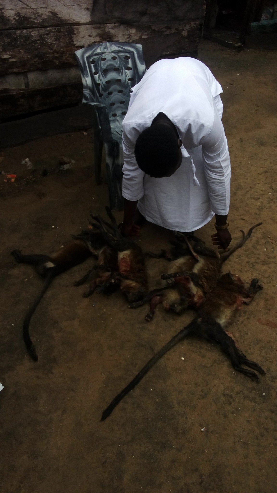 Nigerian Man Prepares Monkey Pepper Soup