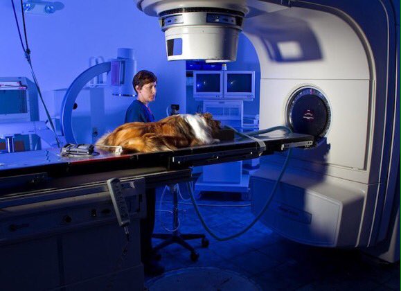 White Guy Lambastes Nigerian Healthcare