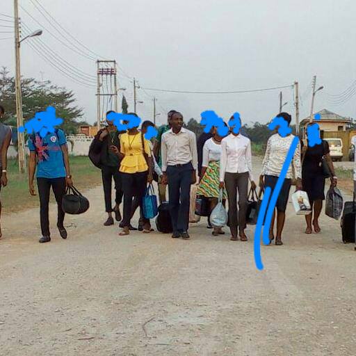 Self-Proclaimed Christ