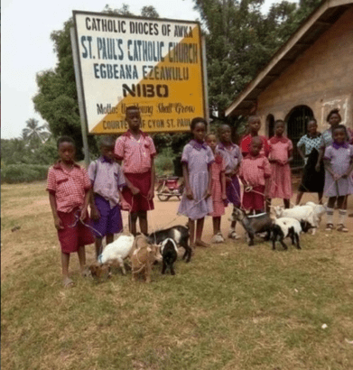 Pupils Receiving Goats