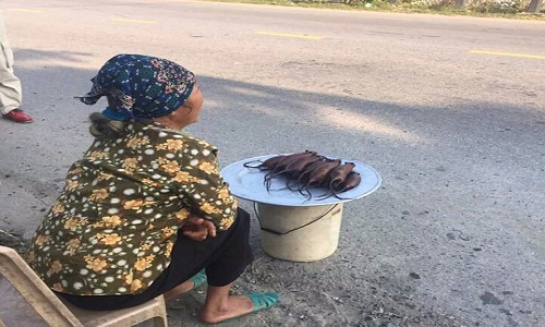Woman Spotted Selling Tasty Roasted Rats