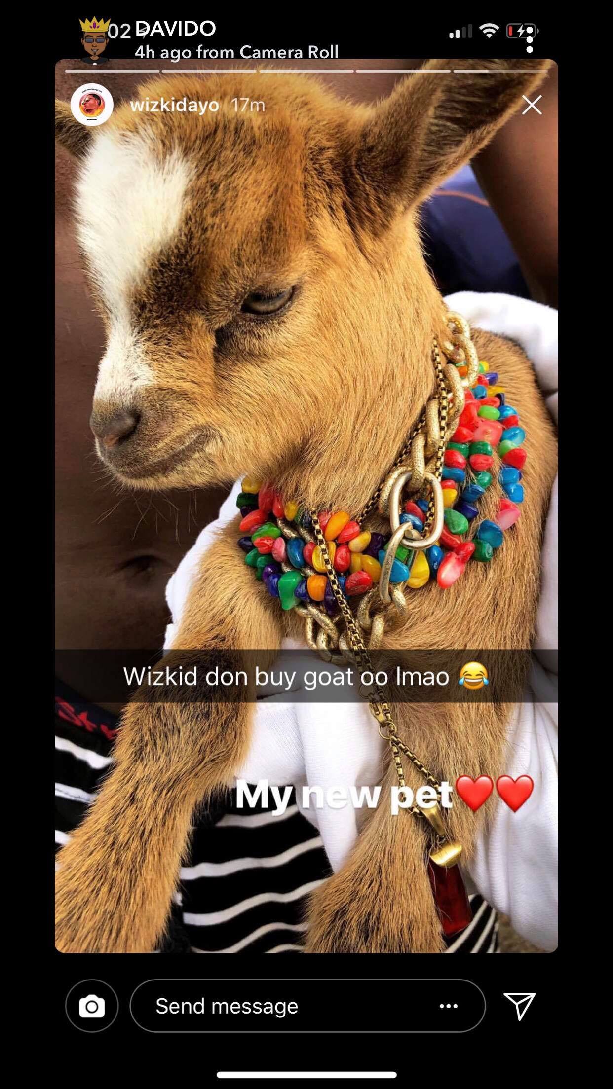 Wizkid's new pet goat