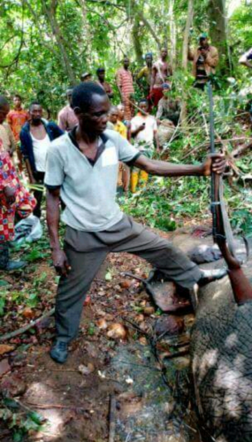 Hunter Kills Elephant