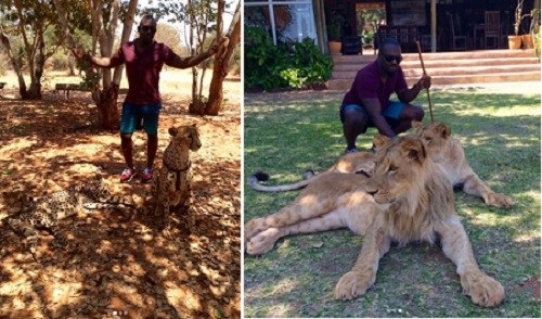 jim iyke petting lions