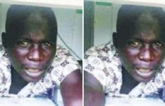 suspected vandal arrested