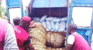 NDLEA Arrests 25 Women