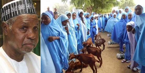 Katsina State Governor launches goat empowerment programme