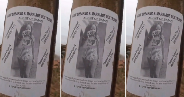 Nigerian Woman Shares Posters