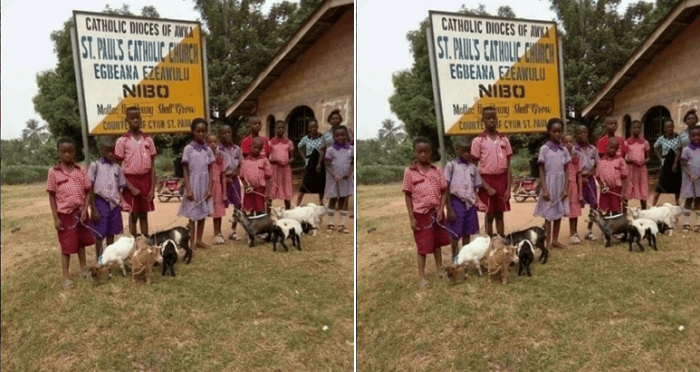Photo Of Pupils Receiving Goats For Coming First In Their Respective Classes In Anambra State Has People Talking