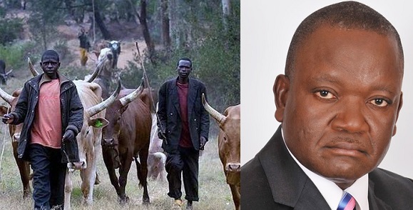 Fulani-Herdsmen-Kaduna Herdsmen association