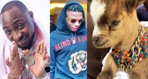 Wizkid's new pet goat