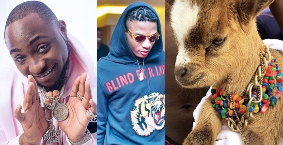 Wizkid's new pet goat