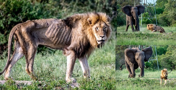 heartbreaking Heartbreaking moment