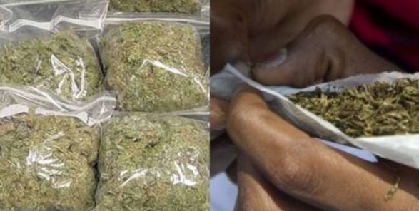 hemp Indian Hemp served