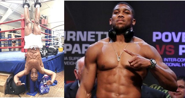 Anthony Joshua Abs