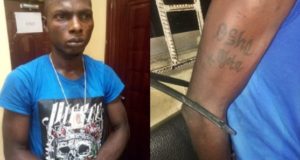 notorious robber caught