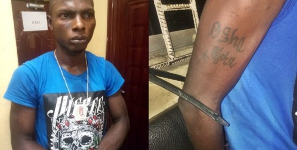 notorious robber caught