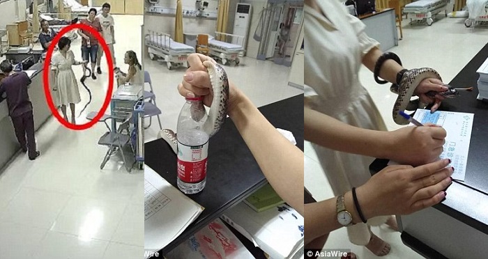 Brave woman walks into hospital holding snake that bit her (Photos)