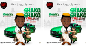 Realzy Shaku Shaku Madness